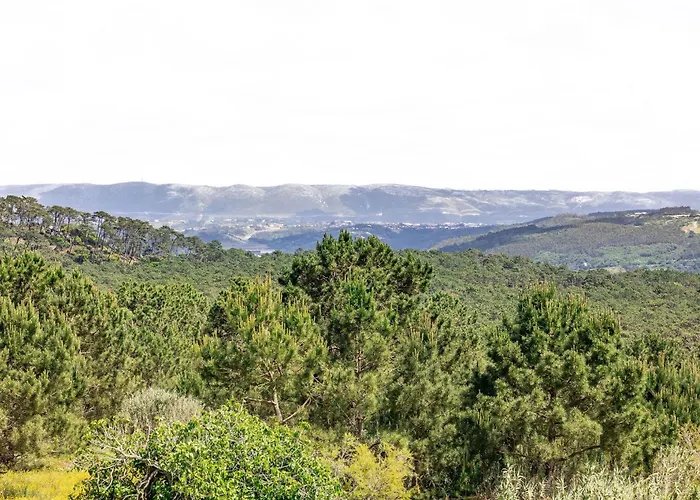 Sunset - By Sch Lejlighed Nazaré